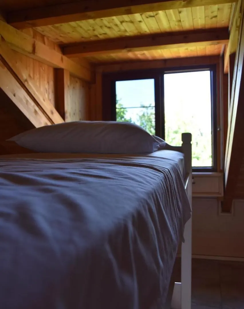 Symphony Hostel Shkoder