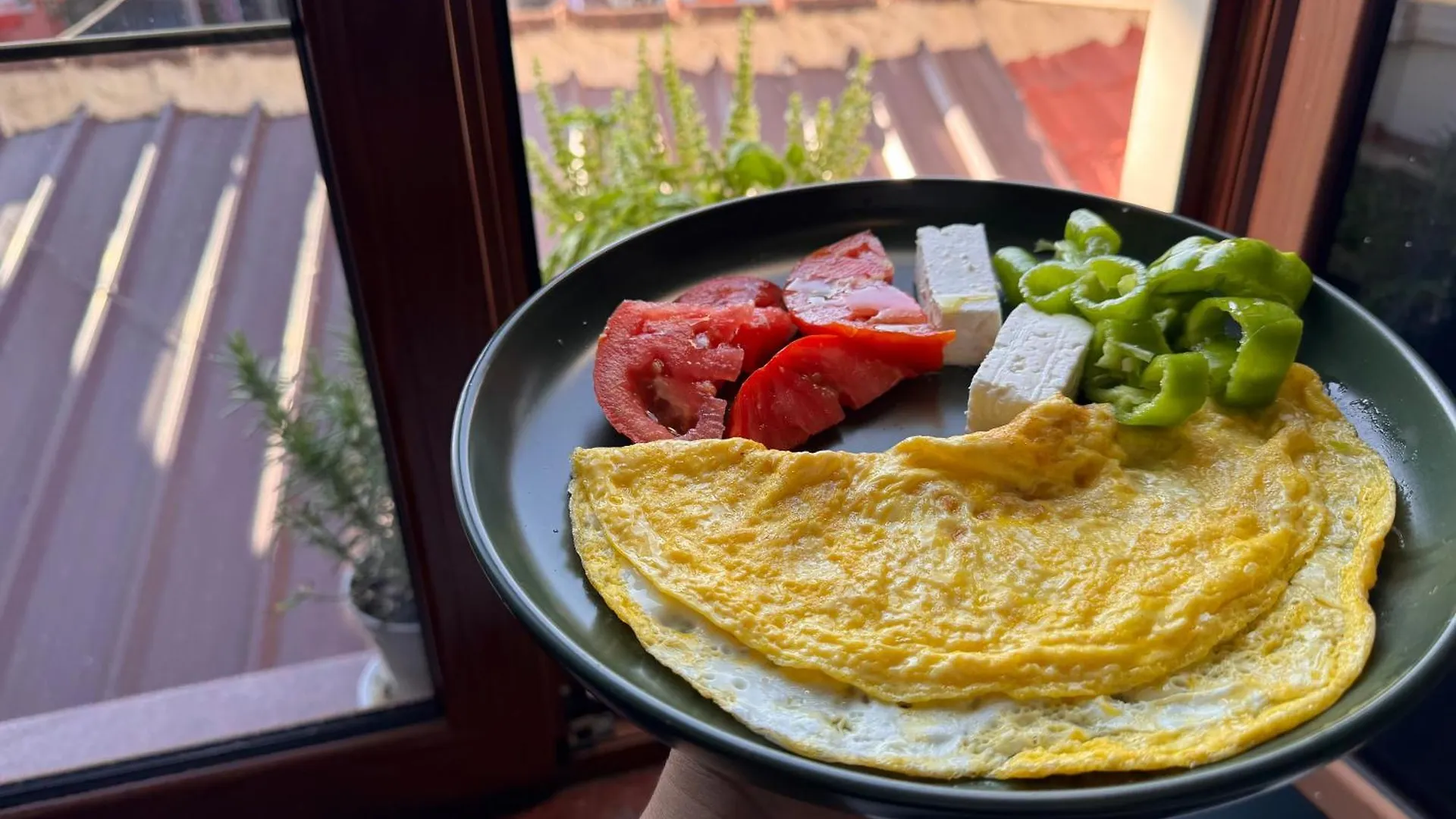 Symphony Hostel Шкодер