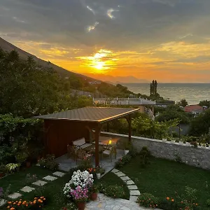 Aloha House Shkodër